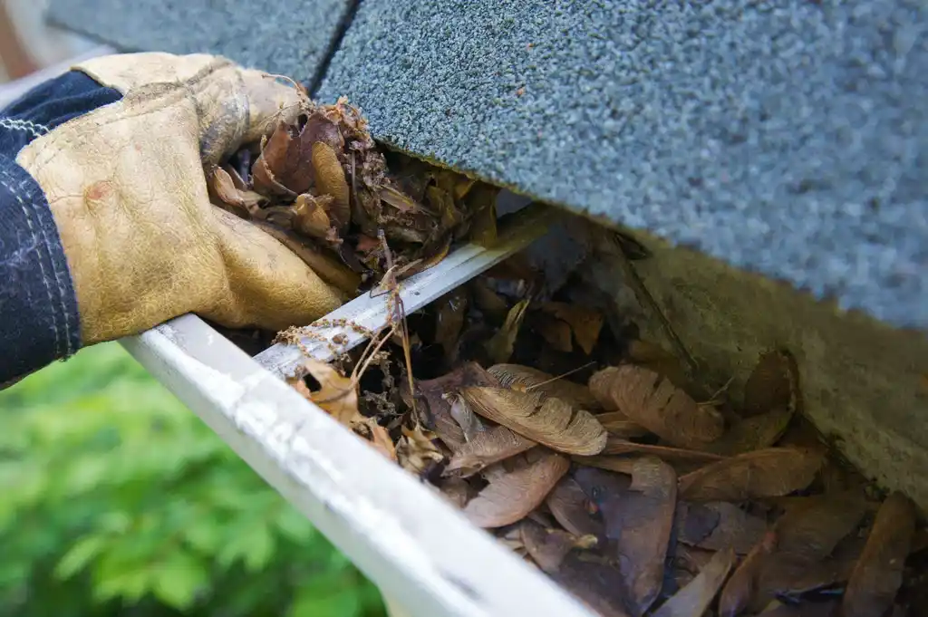 Professional gutter cleaning in Bendigo, preventing blockages and water damage.