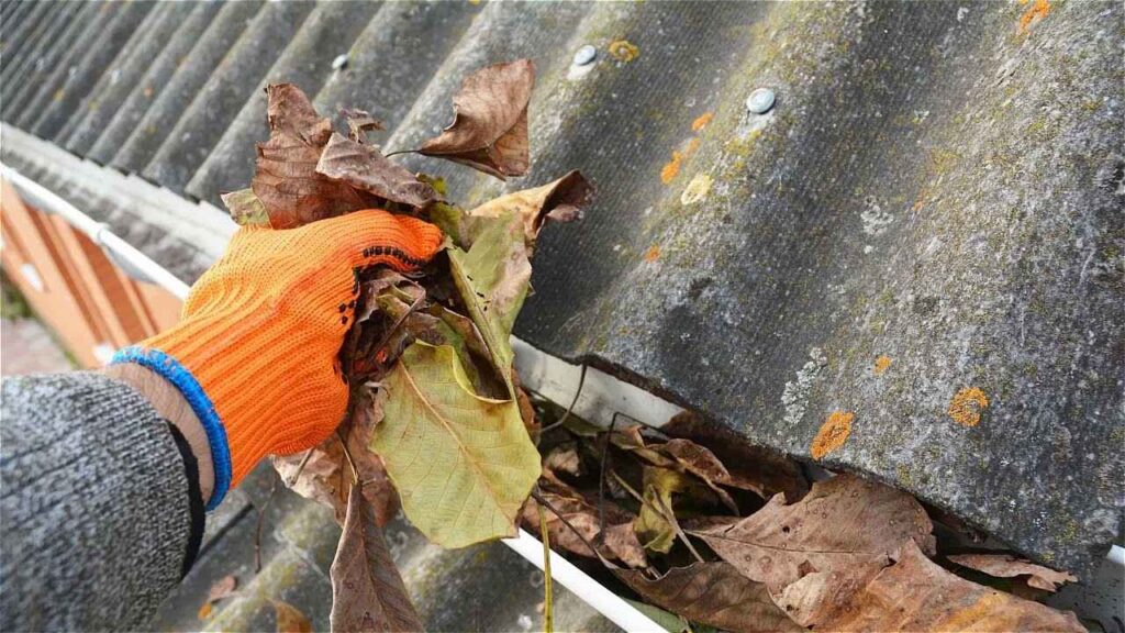 Residential and commercial gutter cleaning services in Bendigo, safeguarding properties.