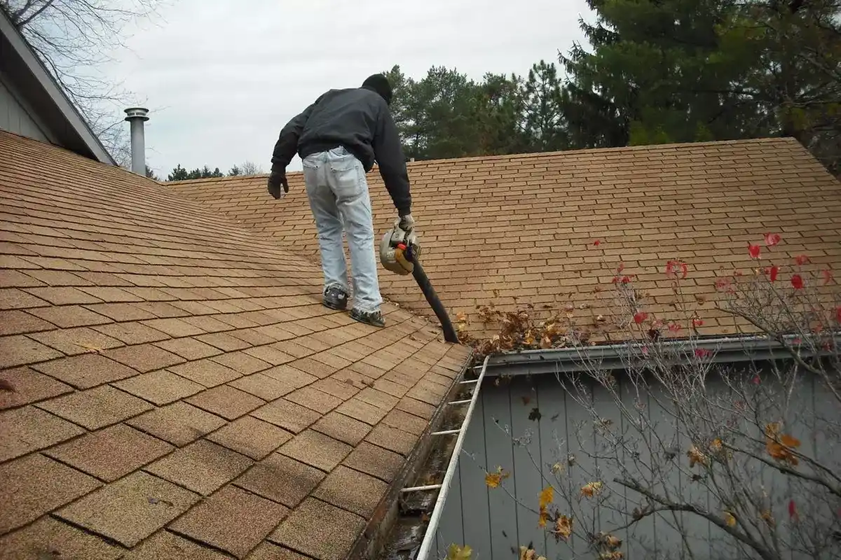 Bendigo gutter cleaning experts ensuring clear downspouts and healthy roofs.
