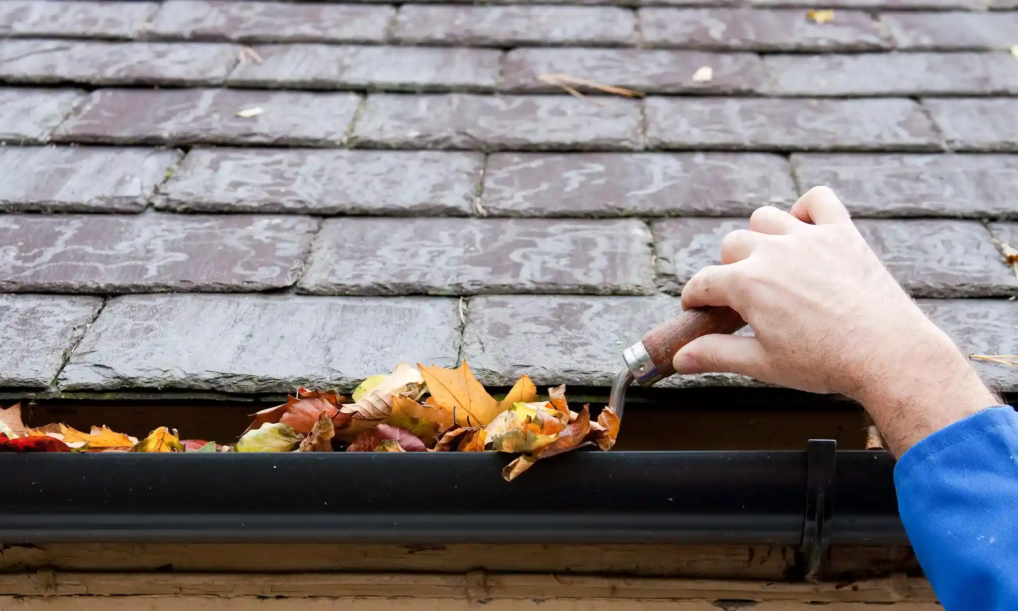 Gutter cleaning in Bendigo, ensuring clear and free-flowing gutters for homes and businesses.